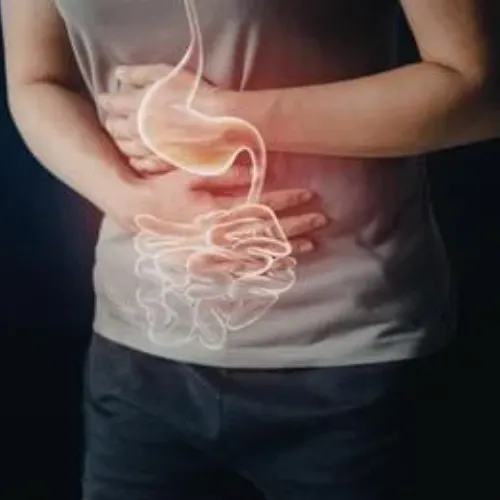 Herbal digestive support