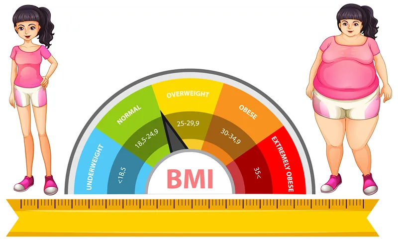 Ayurveda Supporting Healthy Weight Management