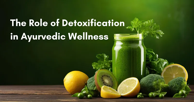 The Role of Detoxification in Ayurvedic Wellness